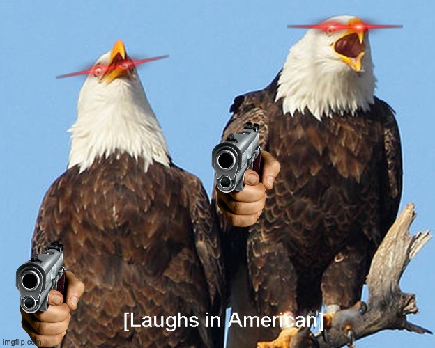 laughs in american | image tagged in laughs in american | made w/ Imgflip meme maker