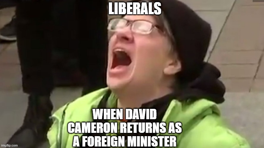 David Cameron | LIBERALS; WHEN DAVID CAMERON RETURNS AS A FOREIGN MINISTER | image tagged in screaming liberal | made w/ Imgflip meme maker