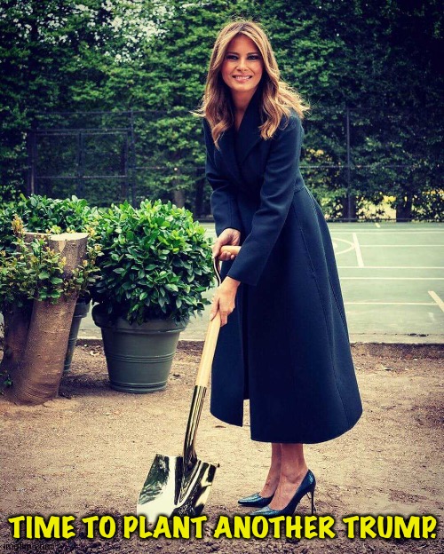 Melania Trump shovel | TIME TO PLANT ANOTHER TRUMP. | image tagged in melania trump shovel | made w/ Imgflip meme maker