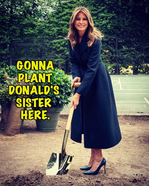 Cemetary and dirt trap | GONNA
 PLANT 
DONALD'S 
SISTER 
HERE. | image tagged in melania trump shovel,maryanne trump barry | made w/ Imgflip meme maker