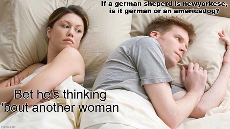 ... Women | If a german sheperd is newyorkese,
is it german or an americadog? Bet he's thinking
'bout another woman | image tagged in memes,i bet he's thinking about other women | made w/ Imgflip meme maker