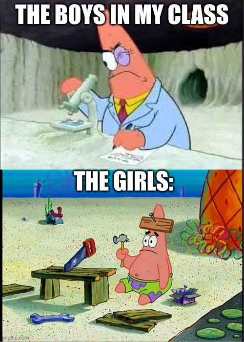 PAtrick, Smart Dumb | THE BOYS IN MY CLASS; THE GIRLS: | image tagged in patrick smart dumb | made w/ Imgflip meme maker