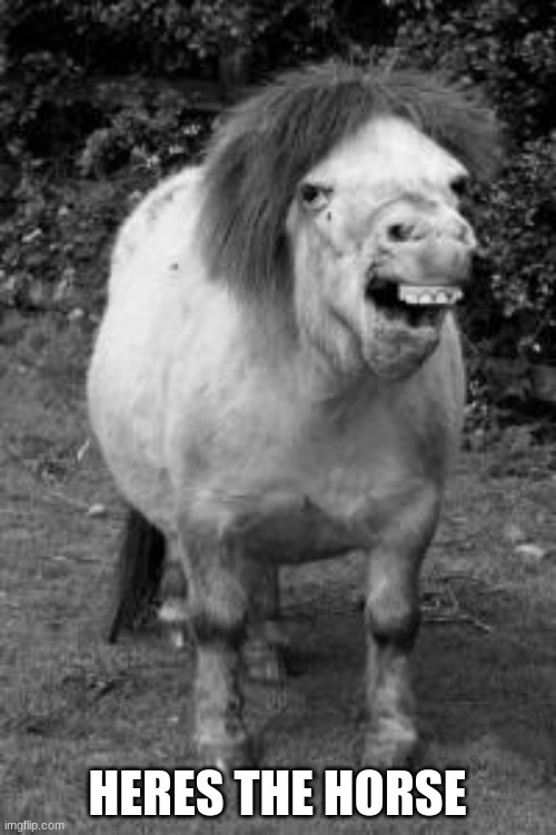 ugly horse | HERES THE HORSE | image tagged in ugly horse | made w/ Imgflip meme maker