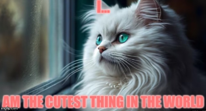 cute cat (upvote!!!) | image tagged in cute,cat,cute cat | made w/ Imgflip meme maker