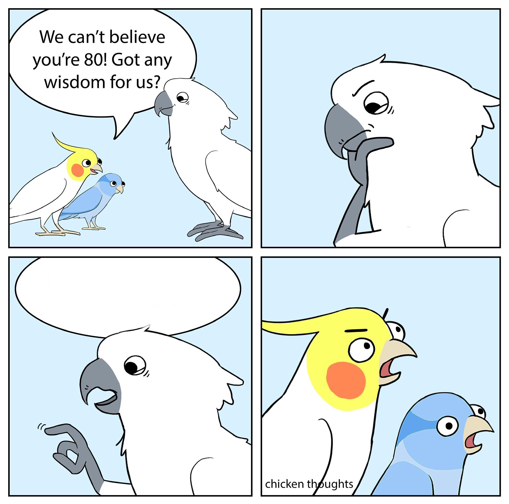 Custom ur wise cockatoo Blank Meme Template