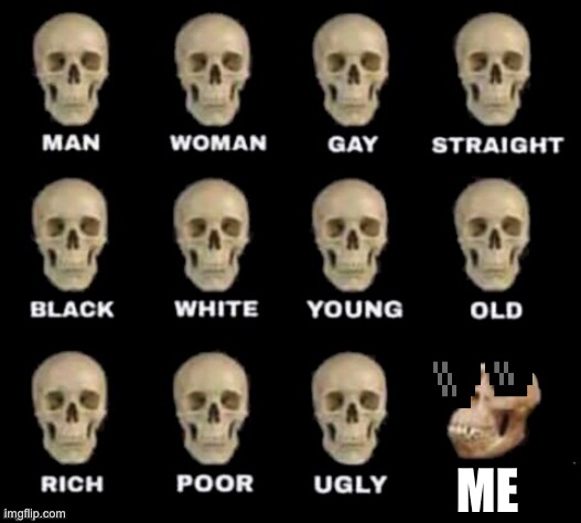 Me | ME | image tagged in idiot skull | made w/ Imgflip meme maker
