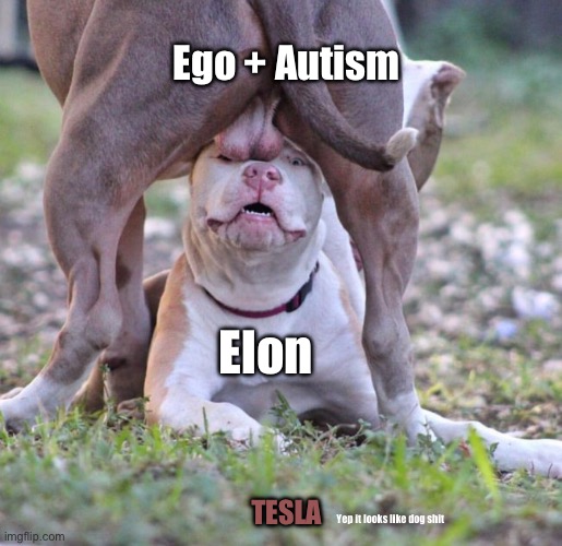 How Elon affects Tesla | Ego + Autism; Elon; TESLA; Yep it looks like dog shit | image tagged in dog balls,elon musk,tesla,stonks | made w/ Imgflip meme maker