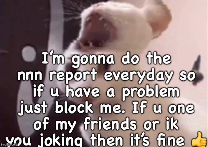 Shocked cat | I’m gonna do the nnn report everyday so if u have a problem just block me. If u one of my friends or ik you joking then it’s fine 👍 | image tagged in shocked cat | made w/ Imgflip meme maker