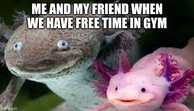 how did I ever think ts was funny | ME AND MY FRIEND WHEN WE HAVE FREE TIME IN GYM | made w/ Imgflip meme maker
