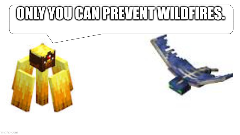 Only true Minecrafters get this | ONLY YOU CAN PREVENT WILDFIRES. | image tagged in wildfire and phantom | made w/ Imgflip meme maker