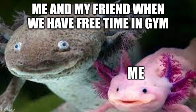 ME AND MY FRIEND WHEN WE HAVE FREE TIME IN GYM; ME | image tagged in axolotl,minecraft,cute | made w/ Imgflip meme maker