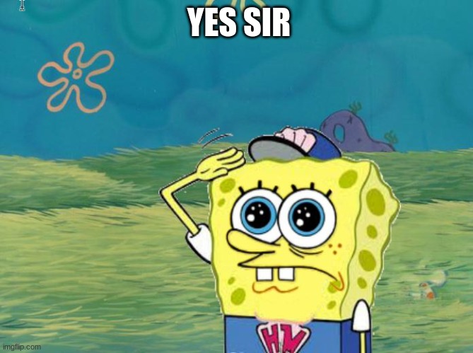 Spongebob salute | YES SIR | image tagged in spongebob salute | made w/ Imgflip meme maker