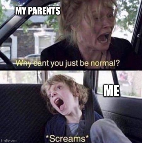 Why Can't You Just Be Normal | MY PARENTS; ME | image tagged in why can't you just be normal | made w/ Imgflip meme maker