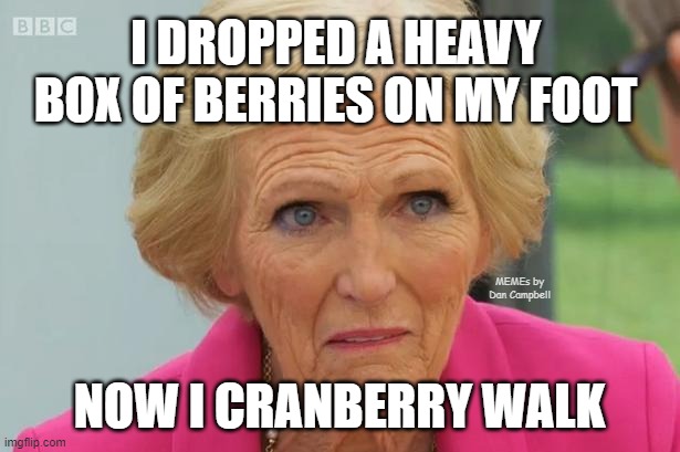Mary Berry Says | I DROPPED A HEAVY BOX OF BERRIES ON MY FOOT; MEMEs by Dan Campbell; NOW I CRANBERRY WALK | image tagged in mary berry says | made w/ Imgflip meme maker