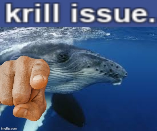 krill issue | image tagged in krill issue | made w/ Imgflip meme maker