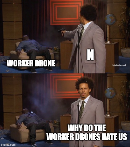 yes this is a murder drones meme | N; WORKER DRONE; WHY DO THE WORKER DRONES HATE US | image tagged in memes,who killed hannibal | made w/ Imgflip meme maker