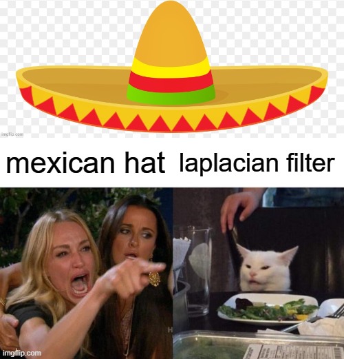 mexican hat; laplacian filter | image tagged in memes,woman yelling at cat | made w/ Imgflip meme maker