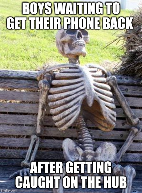 true | BOYS WAITING TO GET THEIR PHONE BACK; AFTER GETTING CAUGHT ON THE HUB | image tagged in memes,waiting skeleton | made w/ Imgflip meme maker