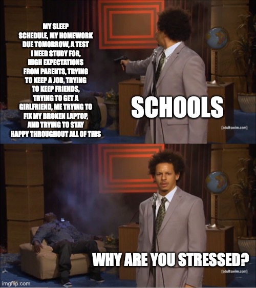 hahahaha true story | MY SLEEP SCHEDULE, MY HOMEWORK DUE TOMORROW, A TEST I NEED STUDY FOR, HIGH EXPECTATIONS FROM PARENTS, TRYING TO KEEP A JOB, TRYING TO KEEP FRIENDS, TRYING TO GET A GIRLFRIEND, ME TRYING TO FIX MY BROKEN LAPTOP, AND TRYING TO STAY HAPPY THROUGHOUT ALL OF THIS; SCHOOLS; WHY ARE YOU STRESSED? | image tagged in memes,who killed hannibal,funny memes,school | made w/ Imgflip meme maker