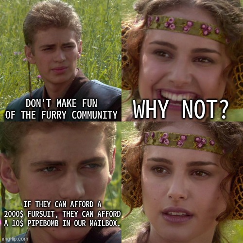 wise words | DON'T MAKE FUN OF THE FURRY COMMUNITY; WHY NOT? IF THEY CAN AFFORD A 2000$ FURSUIT, THEY CAN AFFORD A 10$ PIPEBOMB IN OUR MAILBOX. | image tagged in anakin padme 4 panel | made w/ Imgflip meme maker