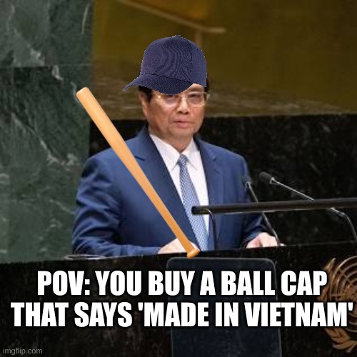 Buying a ball cap be like | POV: YOU BUY A BALL CAP THAT SAYS 'MADE IN VIETNAM' | image tagged in baseball,baseball bat | made w/ Imgflip meme maker