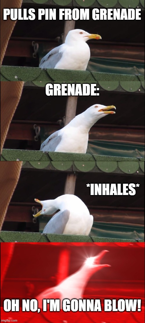 Inhaling Seagull Meme | PULLS PIN FROM GRENADE; GRENADE:; *INHALES*; OH NO, I'M GONNA BLOW! | image tagged in memes,inhaling seagull | made w/ Imgflip meme maker
