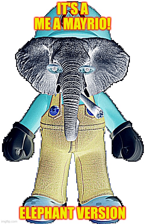 ELEPHANT MAYRIO!!!!!!!!!!!!!!!! | IT'S A ME A MAYRIO! ELEPHANT VERSION | image tagged in elephant may-rio | made w/ Imgflip meme maker