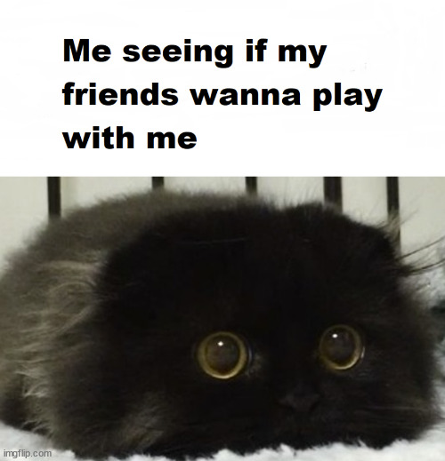 technically me whenever i have nothing else to do | image tagged in friends,black cat,play | made w/ Imgflip meme maker