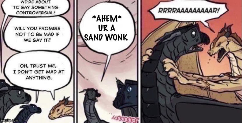 Sand wonks | *AHEM* UR A SAND WONK | image tagged in thorn anger | made w/ Imgflip meme maker