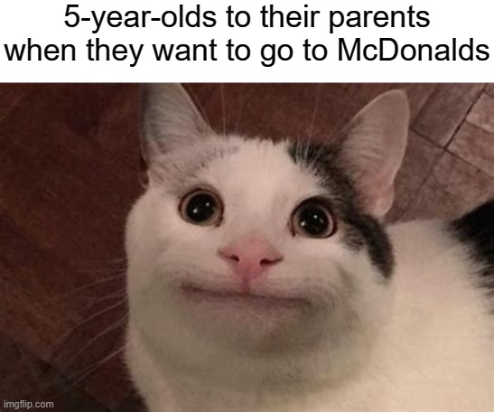 Pweeeeeeze can we go to McDonalds??!! | 5-year-olds to their parents when they want to go to McDonalds | image tagged in polite cat,beluga,mcdonalds,please | made w/ Imgflip meme maker