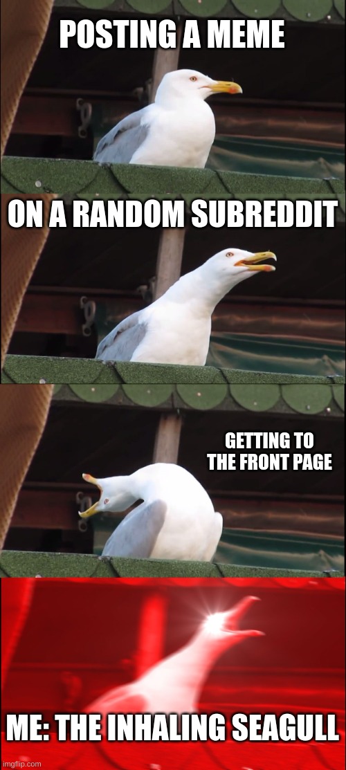 AI meme | POSTING A MEME; ON A RANDOM SUBREDDIT; GETTING TO THE FRONT PAGE; ME: THE INHALING SEAGULL | image tagged in memes,inhaling seagull | made w/ Imgflip meme maker