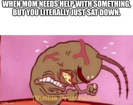 fr fr | WHEN MOM NEEDS HELP WITH SOMETHING, BUT YOU LITERALLY JUST SAT DOWN. | image tagged in visible frustration,parents | made w/ Imgflip meme maker