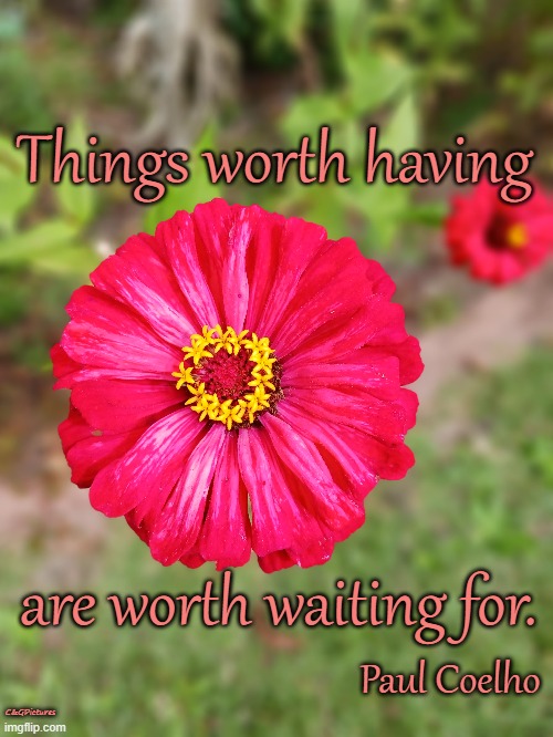 Things worth having; are worth waiting for. Paul Coelho; C&GPictures | made w/ Imgflip meme maker