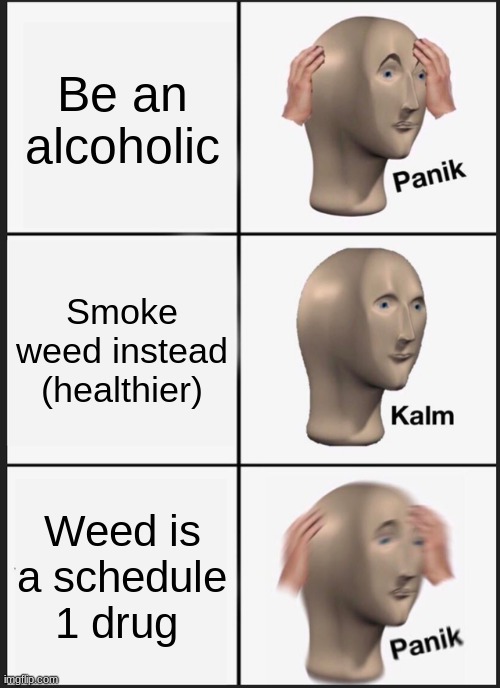 Panik Kalm Panik | Be an alcoholic; Smoke weed instead (healthier); Weed is a schedule 1 drug | image tagged in memes,panik kalm panik | made w/ Imgflip meme maker