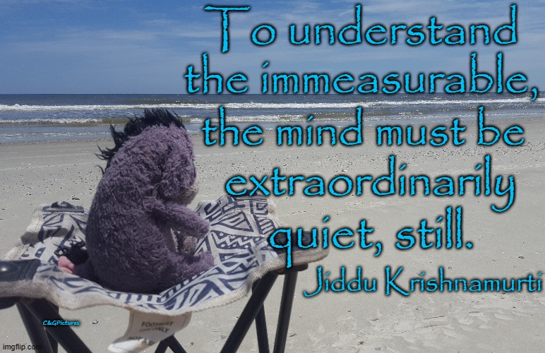 To understand
the immeasurable, the mind must be; extraordinarily; quiet, still. Jiddu Krishnamurti; C&GPictures | made w/ Imgflip meme maker