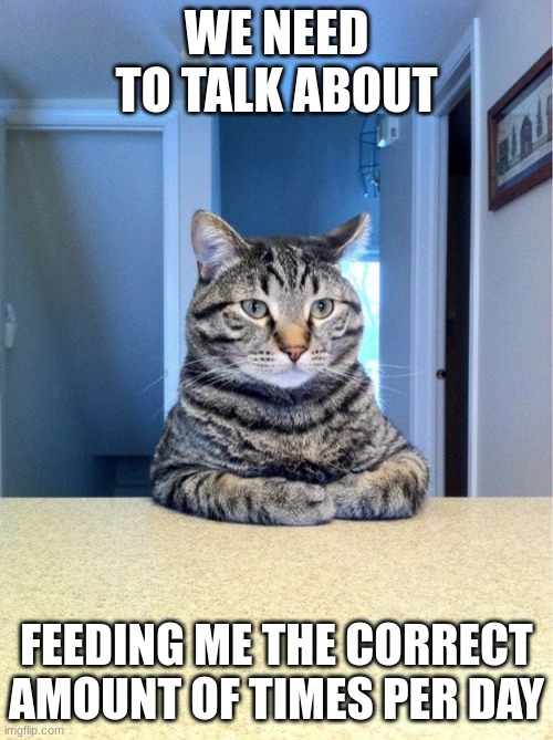 Take A Seat Cat Meme | WE NEED TO TALK ABOUT; FEEDING ME THE CORRECT AMOUNT OF TIMES PER DAY | image tagged in memes,take a seat cat,food | made w/ Imgflip meme maker
