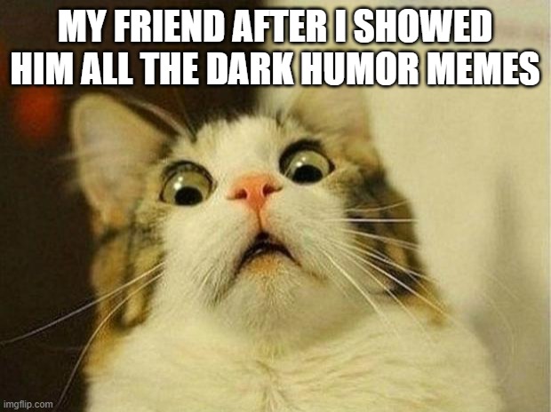 We might not be friends anymore | MY FRIEND AFTER I SHOWED HIM ALL THE DARK HUMOR MEMES | image tagged in memes,scared cat | made w/ Imgflip meme maker