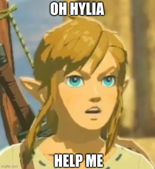 Offended Link | OH HYLIA HELP ME | image tagged in offended link | made w/ Imgflip meme maker