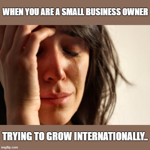 First World Problems | WHEN YOU ARE A SMALL BUSINESS OWNER; TRYING TO GROW INTERNATIONALLY.. | image tagged in memes,first world problems | made w/ Imgflip meme maker