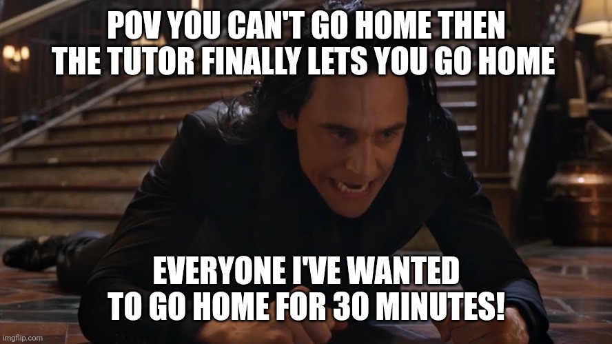 Home for 30 minutes | POV YOU CAN'T GO HOME THEN THE TUTOR FINALLY LETS YOU GO HOME; EVERYONE I'VE WANTED TO GO HOME FOR 30 MINUTES! | image tagged in i've been falling for 30 minutes | made w/ Imgflip meme maker