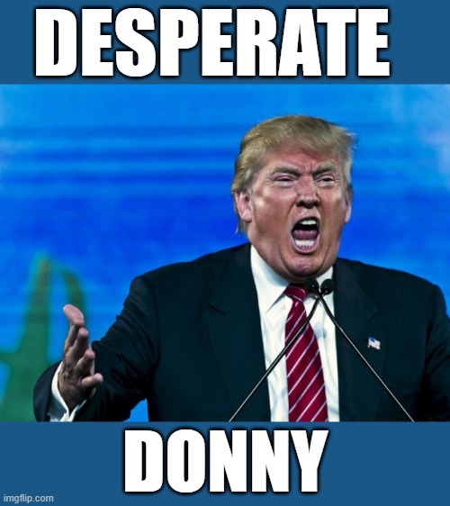 trump yelling i'll be worse than hitler | DESPERATE; DONNY | image tagged in trump yelling,angry hitler,worse than hitler,donald trump approves,trump russia collusion,trump unfit unqualified dangerous | made w/ Imgflip meme maker