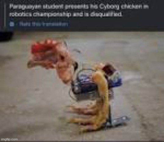 Chicken #19 | image tagged in cursed,cursed image,fun | made w/ Imgflip meme maker