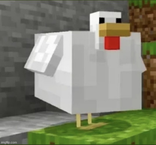 Chicken #20 | image tagged in cursed,cursed image,fun | made w/ Imgflip meme maker