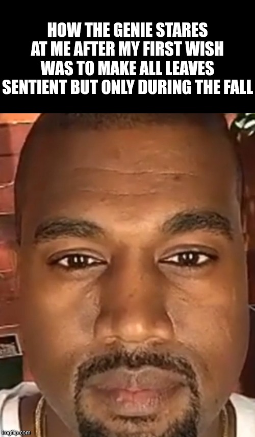 Kanye West Stare | HOW THE GENIE STARES AT ME AFTER MY FIRST WISH WAS TO MAKE ALL LEAVES SENTIENT BUT ONLY DURING THE FALL | image tagged in kanye west stare | made w/ Imgflip meme maker