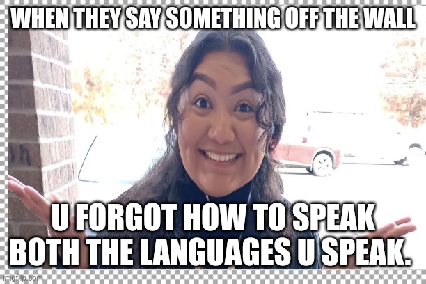 Zeal meme 1 | WHEN THEY SAY SOMETHING OFF THE WALL; U FORGOT HOW TO SPEAK BOTH THE LANGUAGES U SPEAK. | image tagged in first world problems,work | made w/ Imgflip meme maker
