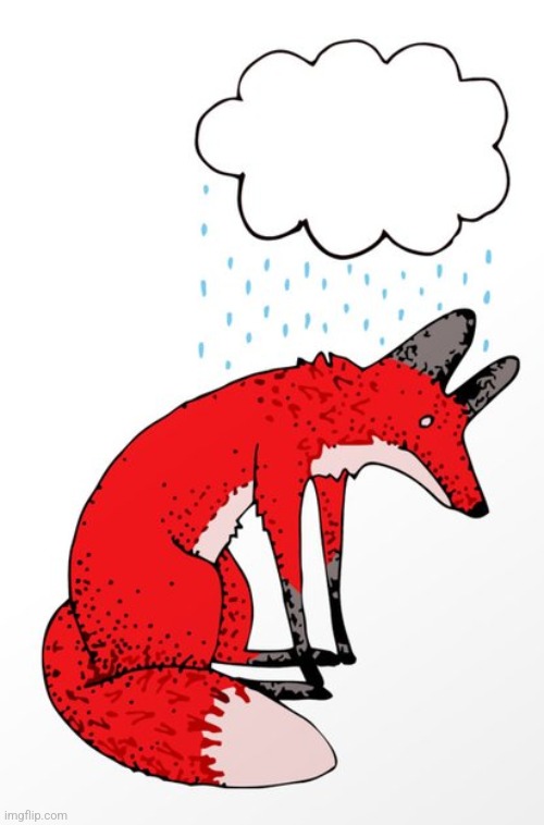 Sad Fox | image tagged in sad fox | made w/ Imgflip meme maker