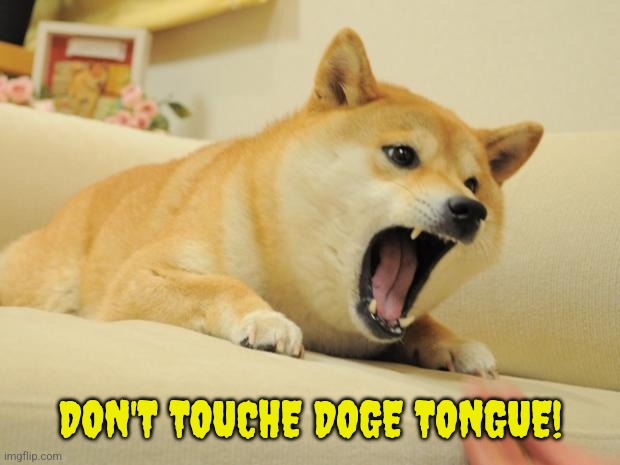 ANGRY DOGE | DON'T TOUCHE DOGE TONGUE! | image tagged in angry doge | made w/ Imgflip meme maker