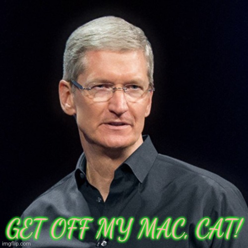 Tim Cook Serious | GET OFF MY MAC, CAT! | image tagged in tim cook serious | made w/ Imgflip meme maker