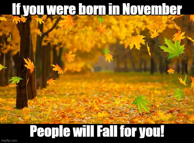 Peopel will Fall for you! | If you were born in November; People will Fall for you! | image tagged in blank black,november,birthday,fall,puns | made w/ Imgflip meme maker