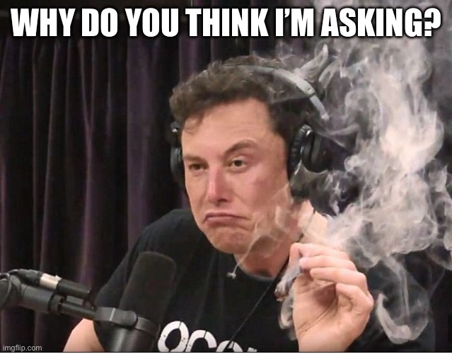 Elon Musk smoking a joint | WHY DO YOU THINK I’M ASKING? | image tagged in elon musk smoking a joint | made w/ Imgflip meme maker